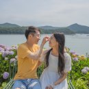 로스티아 이미지