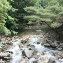 이번 여름, 산과 계곡이 좋은 원주로 피서를