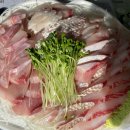 수산시장회포장배달 이미지