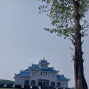 베트남 마카오 성지순례...(7) 이미지