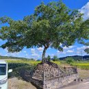 박산리 작약골 쌍탑제 이미지