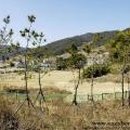 범방동 패총 이미지