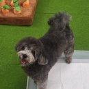 경기도 수원시 팔달구 세지로244번길 이미지