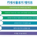 영우메디칼 | 스포츠테이프 :: 키네시올로지 테이프 사용후기!!!