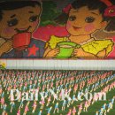 돋는 북한의 카드섹션.. 이미지