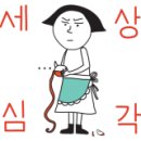 태봉카센타 이미지