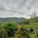 회령5일시장 이미지