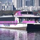 [서울뉴스]한강버스 합동점검에서 규정 위반 28건‥"비상시 상황 전파체계 없어" 이미지