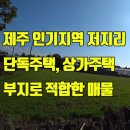 부동산25시 공인중개사사무소 이미지