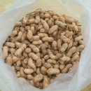 승준농장 이미지