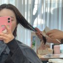 머리짓다 이미지