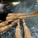 수영온천탕 이미지