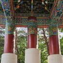 대불금강 이미지