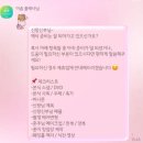 신행부분정비 | 🤵🏻👰🏻‍♀️요즘 웨딩 계약 후기_이솜 플래너님(추천인 코드:후추참기름 _사비 페이백 O)