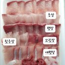 감포어시장 네이버블로그