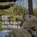 동천 동물병원 이미지