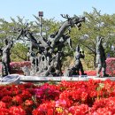 영랑호 입구 이미지