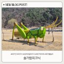 11545-03-31-32 | 대구근교 아이와 가기 좋은 캠프닉 성주 솔가람피크닉 예약 및 이용후기