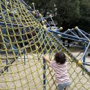 키노시타 | 나고야 여행에서 즉흥적으로 본 키노시타 서커스 후기 예매방법