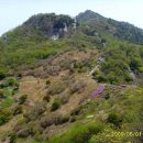 송단목장 이미지