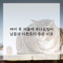 활력한의원 이미지