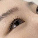 라디다뷰티 - 광명시 | 광명 속눈썹 펌 맛집 : 라디다뷰티 광명점 후기