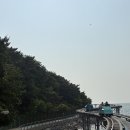 대천 레일바이크 네이버블로그