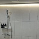 오얏리스테이B 이미지