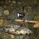 단양농협주유소 이미지