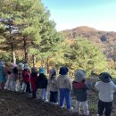 💛 수료산행을 준비해요 / 숲 속 캠핑 놀이 / 김장을 해요 이미지