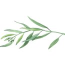 센트럴아동병원 이미지