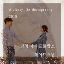 더파인루트