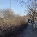 국민생활체육 게이트볼전용구장 이미지