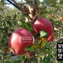 기범농장 이미지