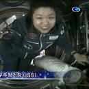 우주씨