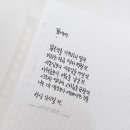 붓펜&수채캘리그라피 이미지