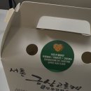 무지개고로케