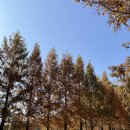 오토25 | 가을 키즈 캠핑장 추천, 부림관광농원 부림오토캠핑장,지프 실베스터 25년형 신상 피칭 후기