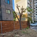 병점중앙로193번길 이미지