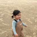 태안 안면도 1박 2일 여행 갯벌체험 펜션 무료입장 체험관 게국지 게장 정식 나리와꽃창포 추천 가슴장화