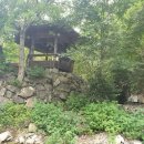 고비농장 이미지