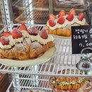 카페 데이지 | 강원도 여행 홍천 카페 추천 ‘어나더데이지’ 메뉴 주차 및 디저트 솔직 후기 (내돈내산)