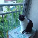 동탄동물병원 이미지