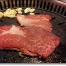 한우와한돈 이미지