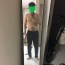 청아보디빌딩 | 정답은 없습니다. 하지만.. (그린티발란스 지티발란스 보조제 이야기)