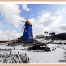 허브밸리(축제장) 이미지