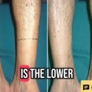 오늘더예쁜눈(오늘The예쁜눈) 이미지