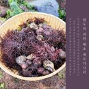 생일 학서암 석조여래좌상 이미지