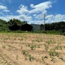 합덕읍경로당 이미지