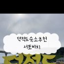 서포비치 이미지